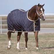 Big D All American Stable Blanket 72 Navy