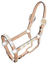 Silver Royal Gold Star Show Halter Light Oil