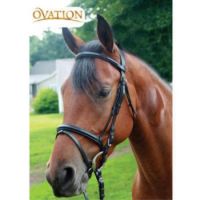 Comfort Crwn Padded Dress Bridle W/Flash Horse