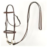 Hdr Club Fancy Bridle Horse