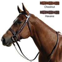 Paris Tack Hunt Bridle Horse Havana