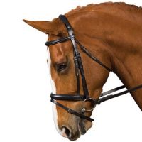 Collegiate Comfort Dressage Bridle Horse Black