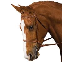 Collegiate Raised Fancy Bridle Full Ch