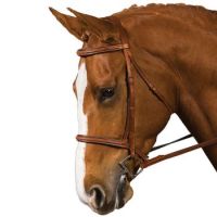 Collegiate Raised Padded Fancy Stitched Bridle