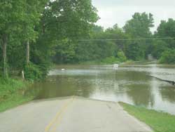 Dispose of any flood debris left in your pasture