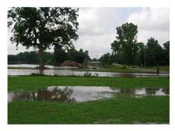 our flooded pasture picture 1