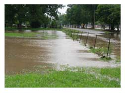 Our flooded pasture picture 2